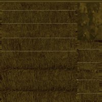 Asset preview